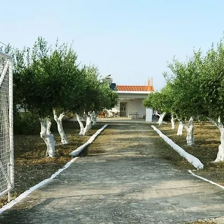 Nadia's House 1
