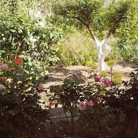 בית נופש Nadia's House 1