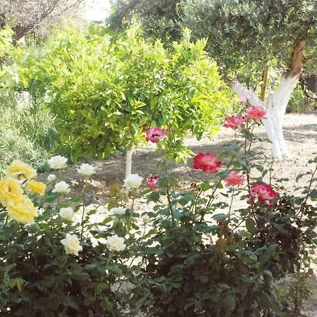 Nadia's House 1
